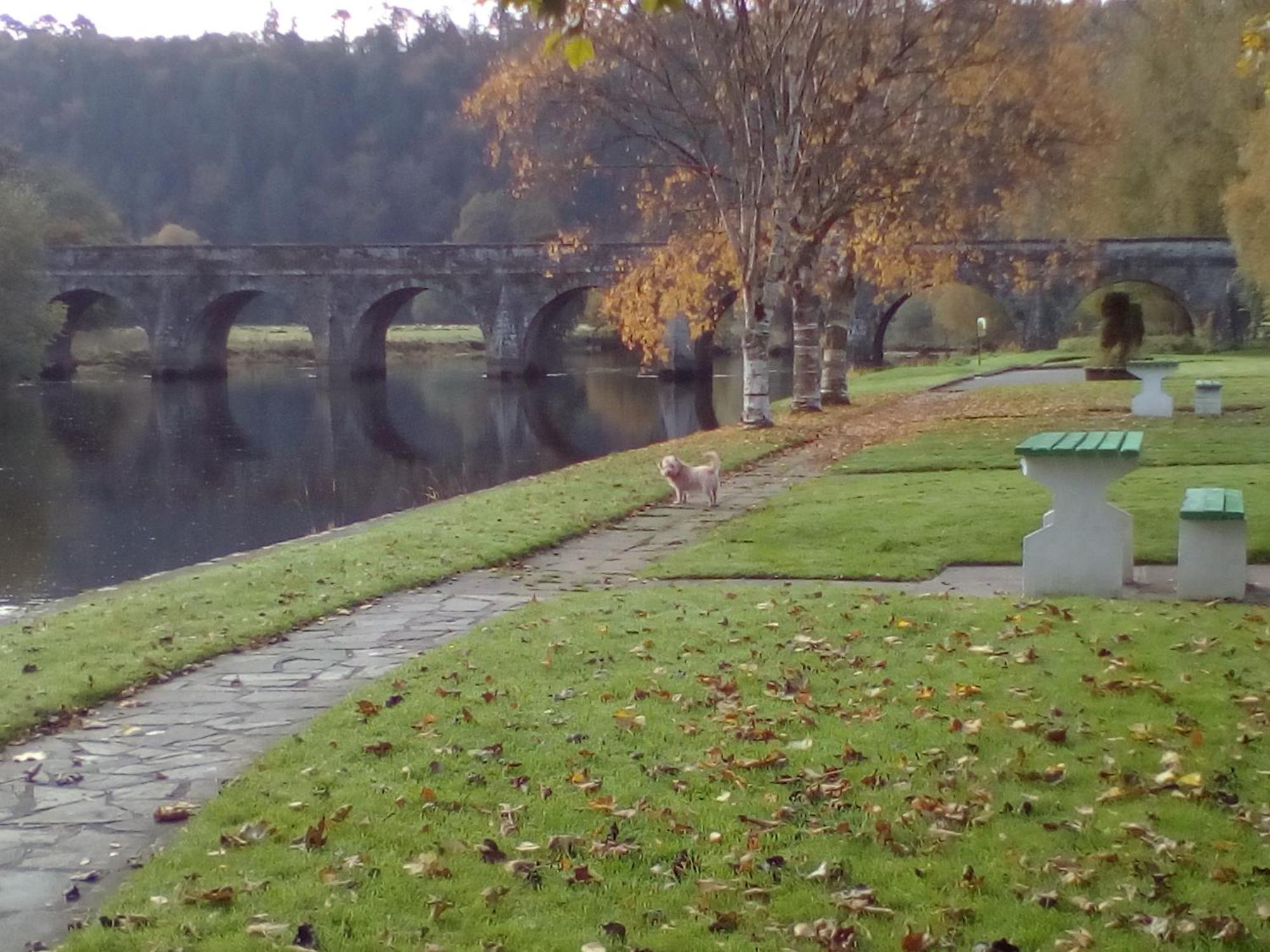 Woodstock Arms Bed & Breakfast Inistioge Екстериор снимка